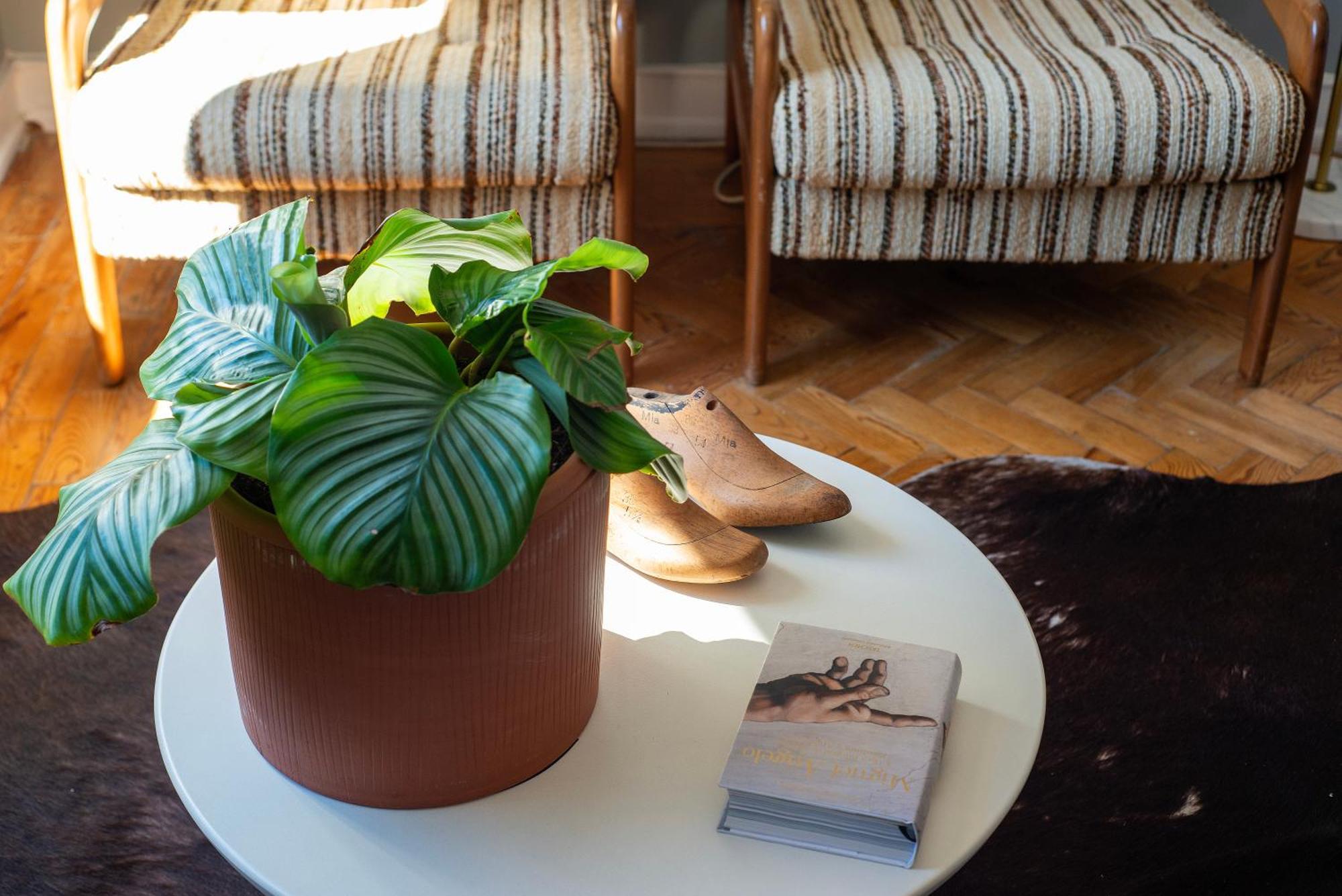 Graca - Castle | Lisbon Cheese & Wine Apartments Bagian luar foto
